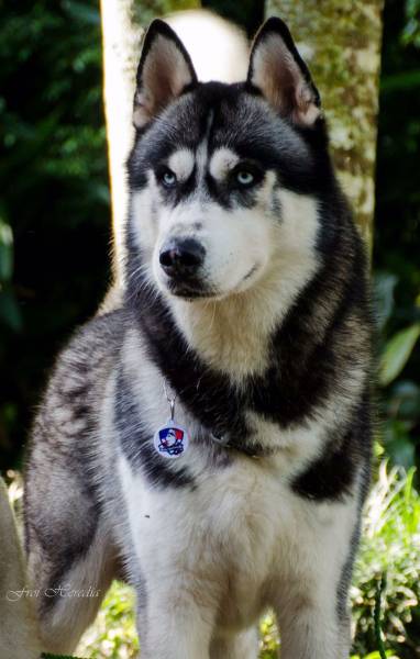 Fire with Fire(Febo)