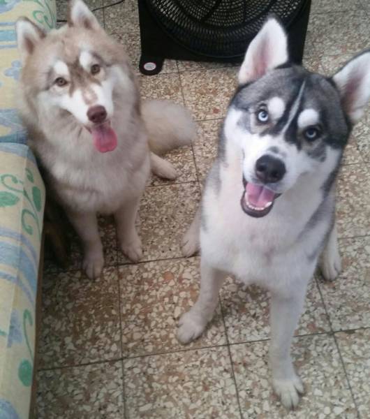 Akisha y Casper Akisha y Casper