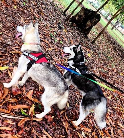 Naysha y Jacob Naysha y Jacob