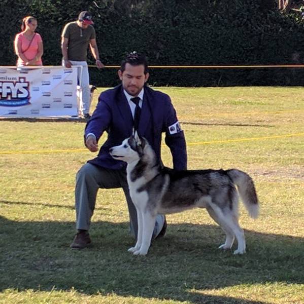 img_20170122_162154.jpg img_20170122_162154.jpg